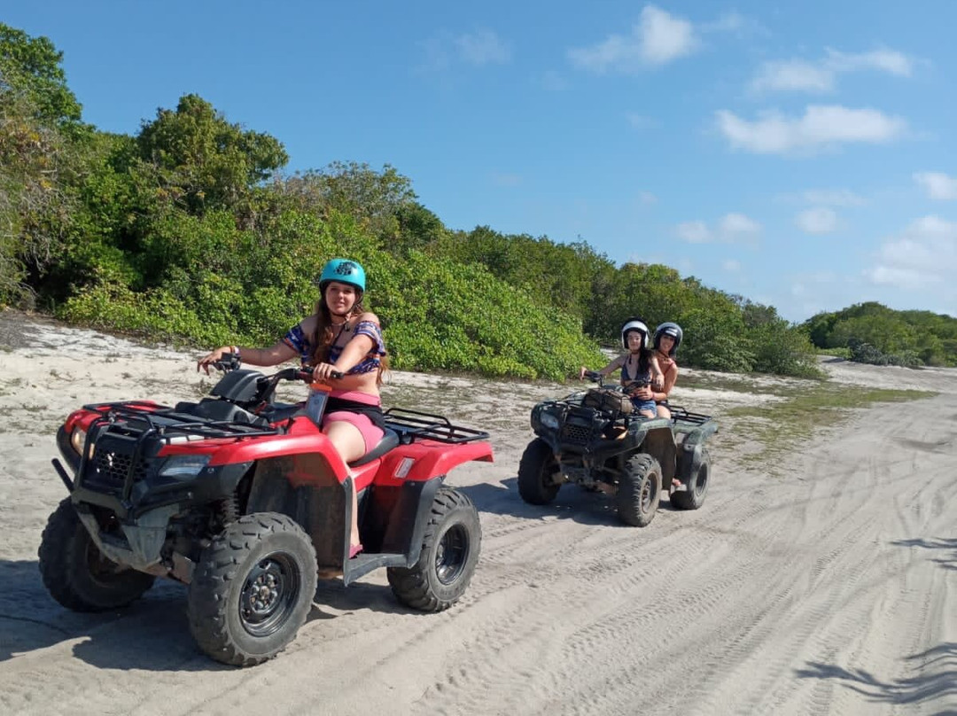 Ponta de Itaquena-特兰科苏必去景点