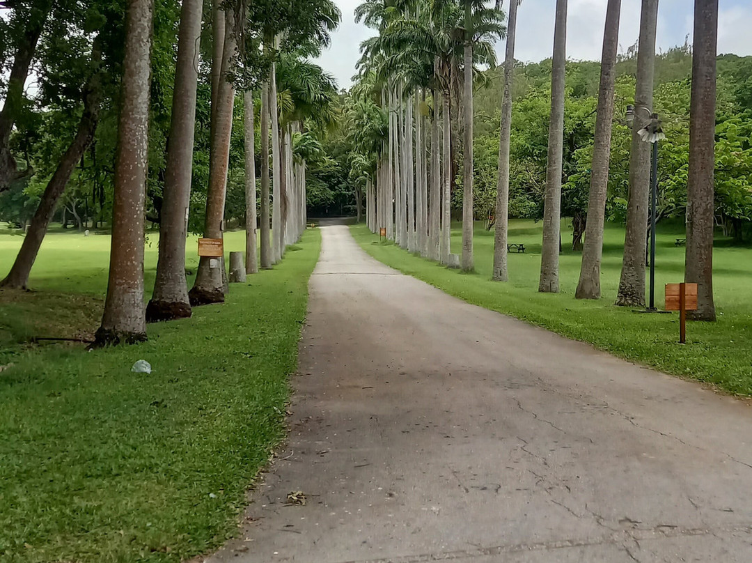 Codrington College-Saint John Parish必去景点