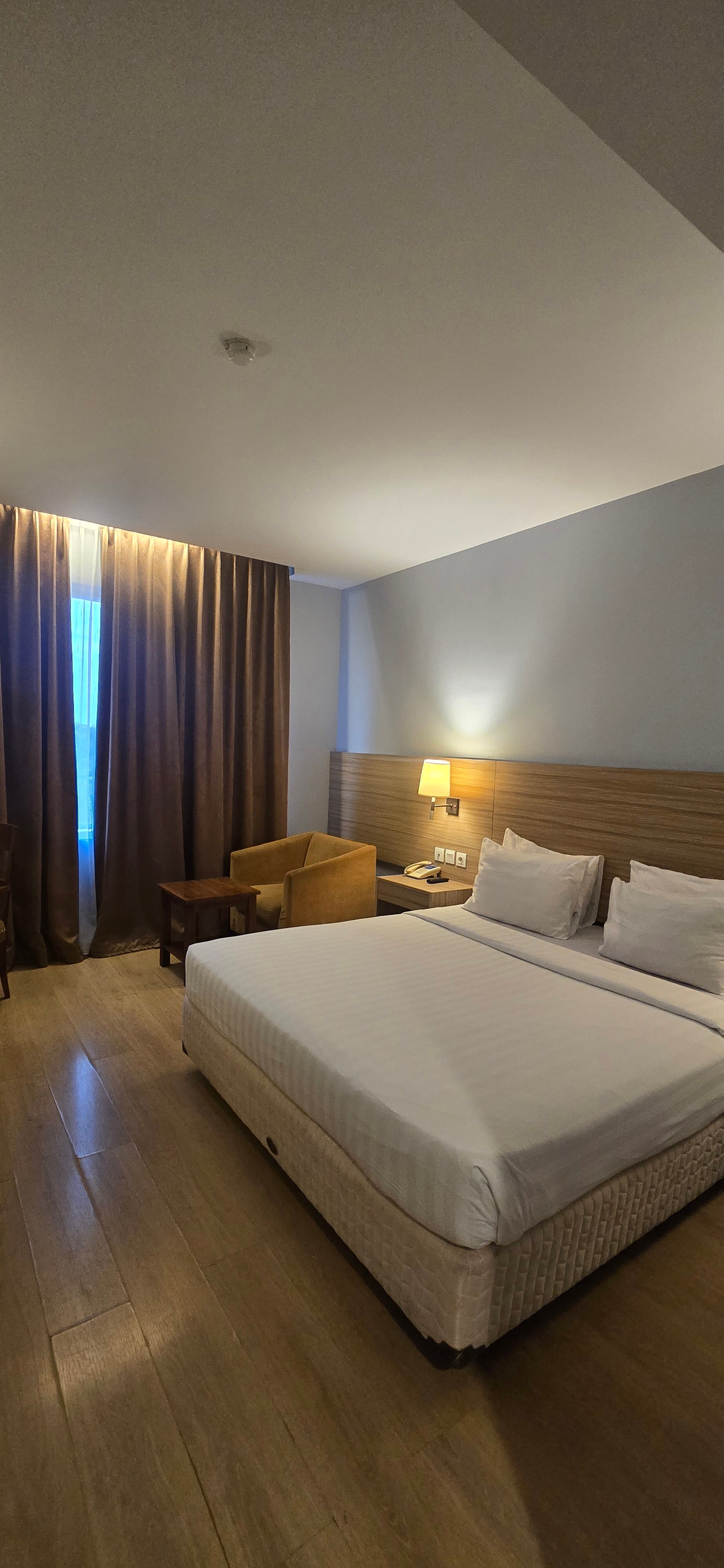 龙鱼大酒店-官方