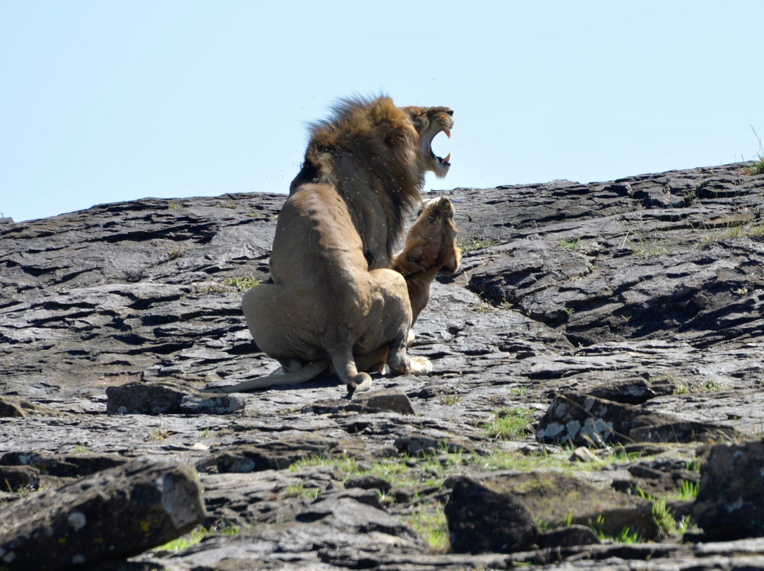 Earthlife Expeditions-阿鲁沙必去景点