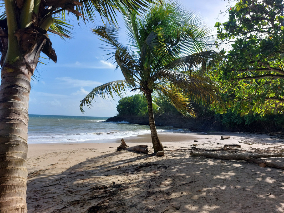 Plage Manbia-Sainte Rose必去景点