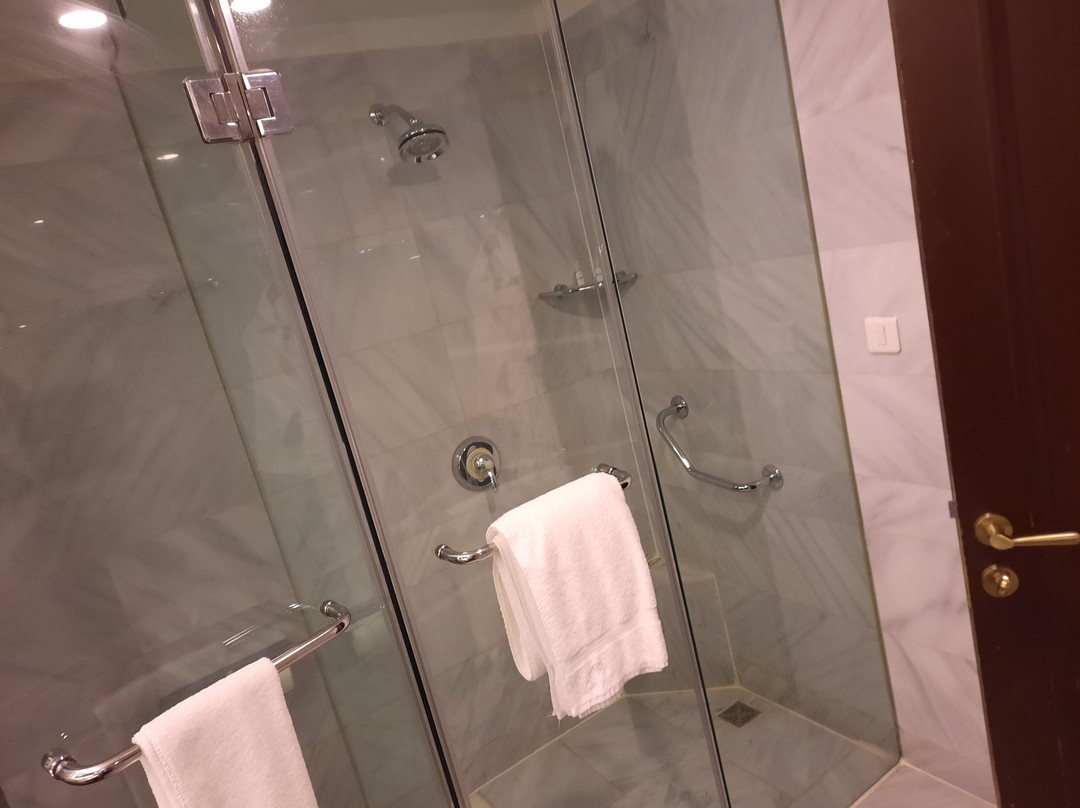 Dushanbe Serena Hotel主图