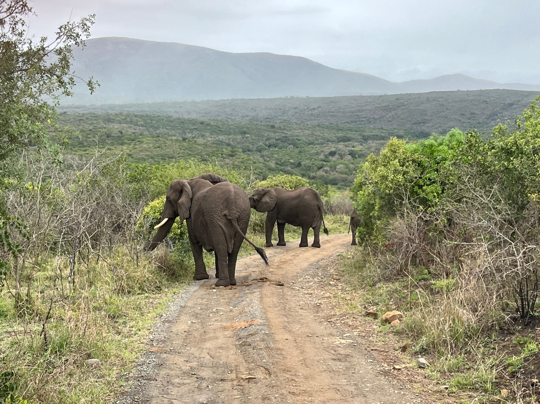 At Heritage House主图