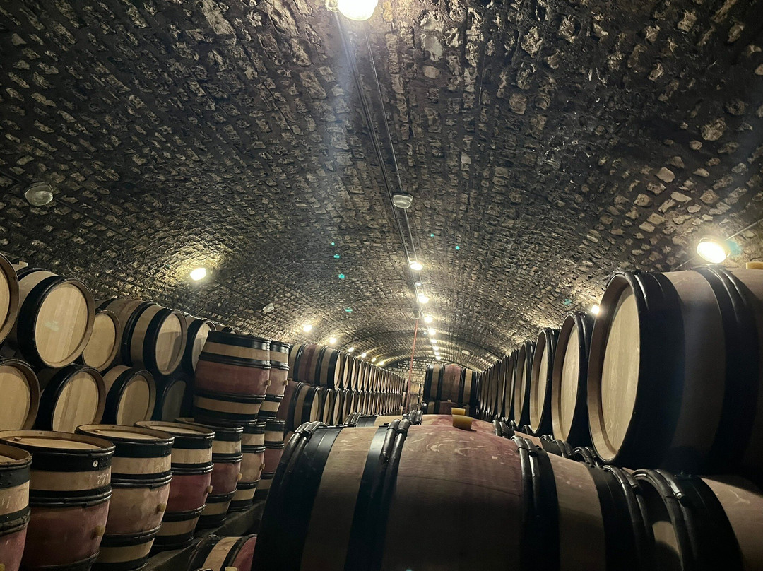 Caveau Moillard-夜圣乔治必去景点