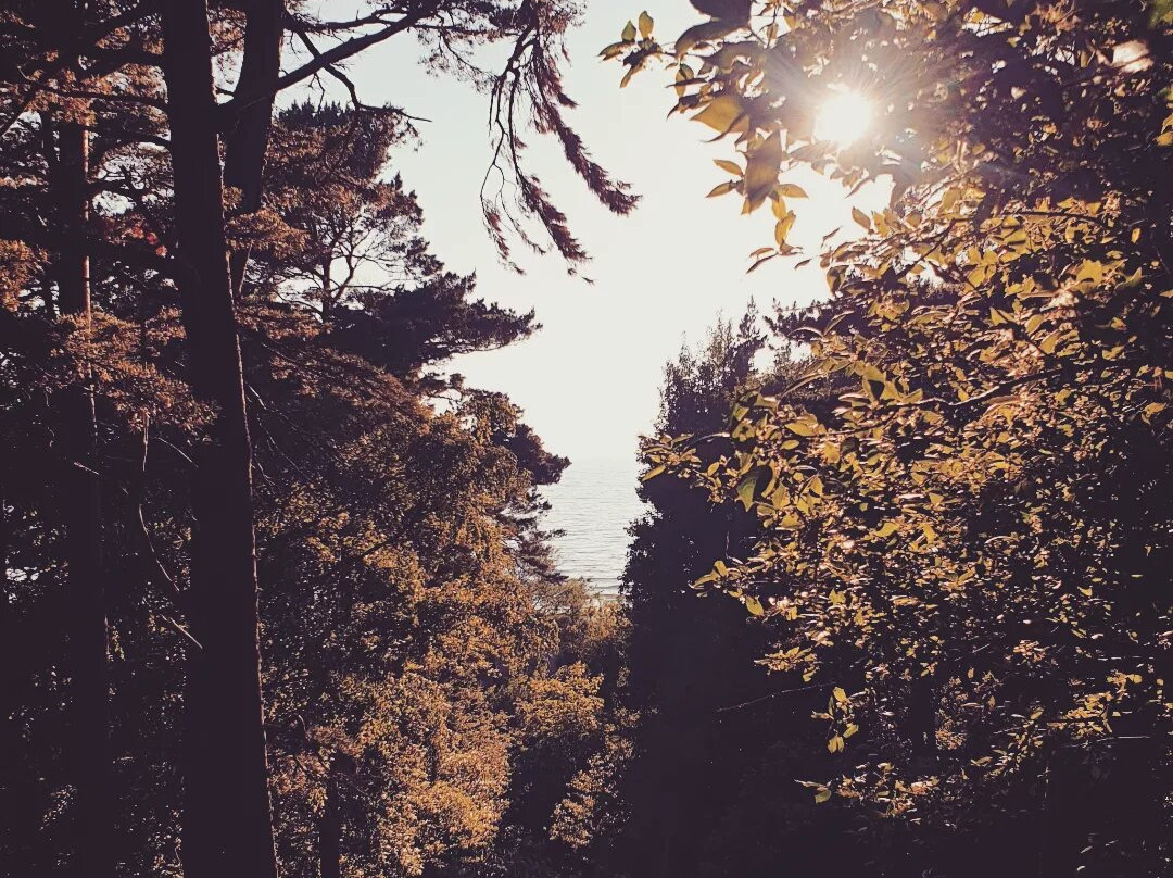 Birute Park-帕兰加必去景点