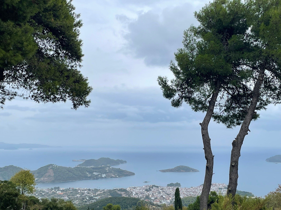 Parissis Winery-斯亚索斯必去景点