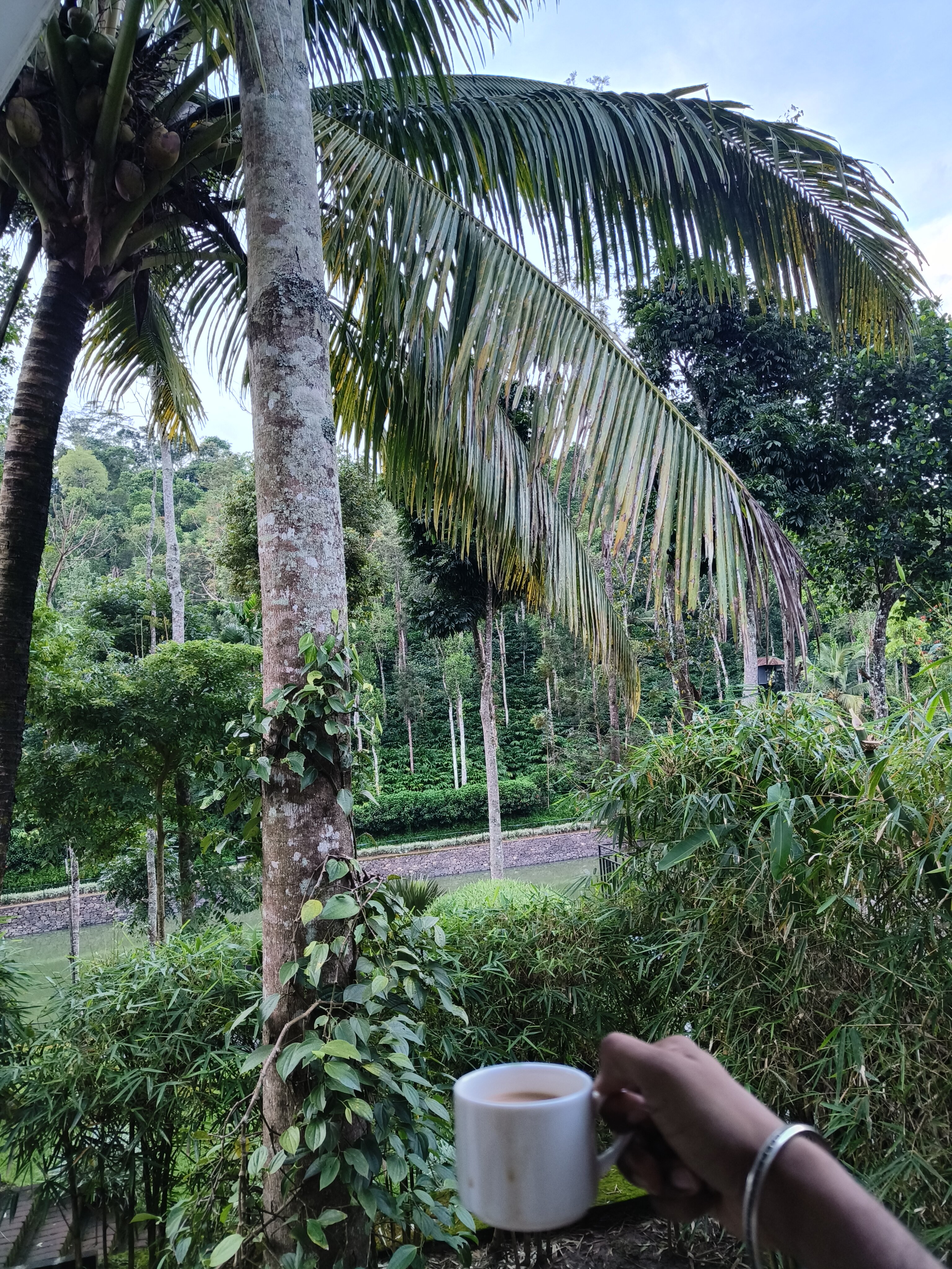 Amaana Plantation Resort-官方