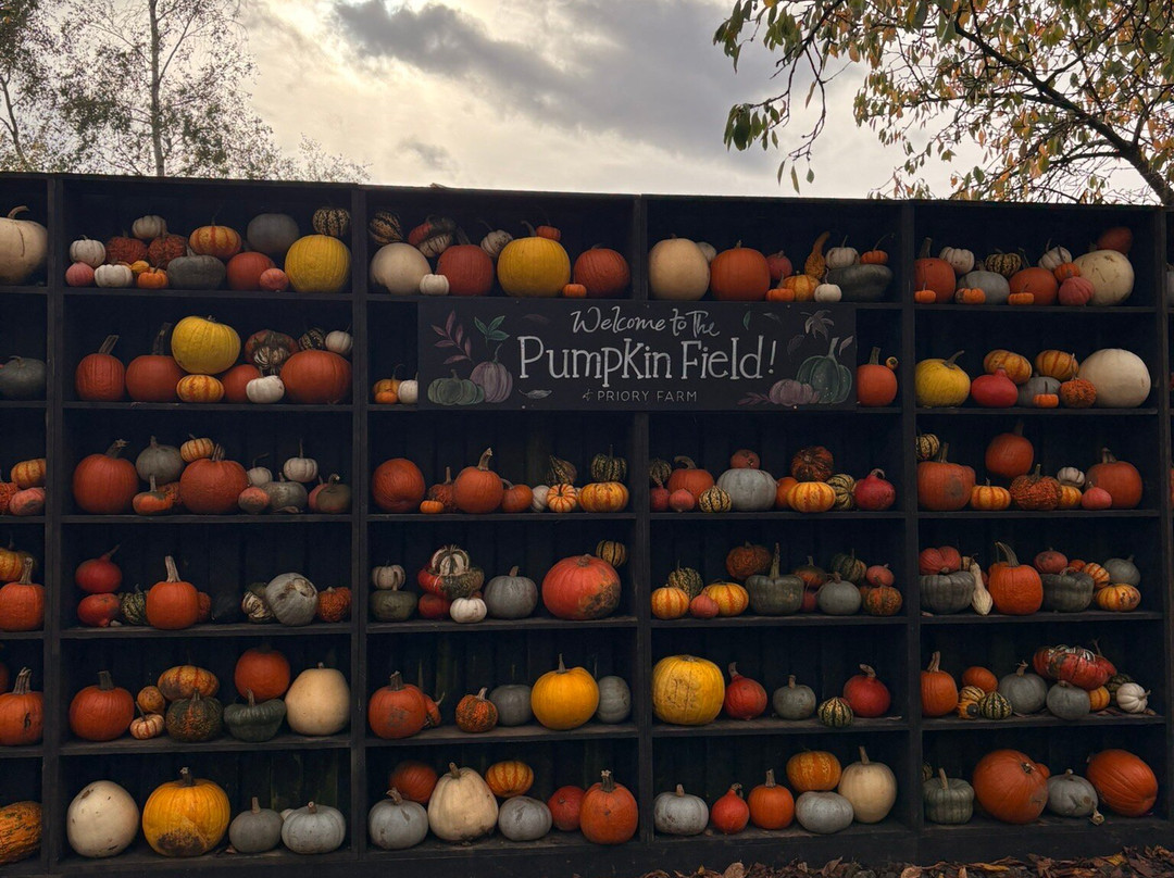 Discovery Land at Priory Farm-Nutfield必去景点