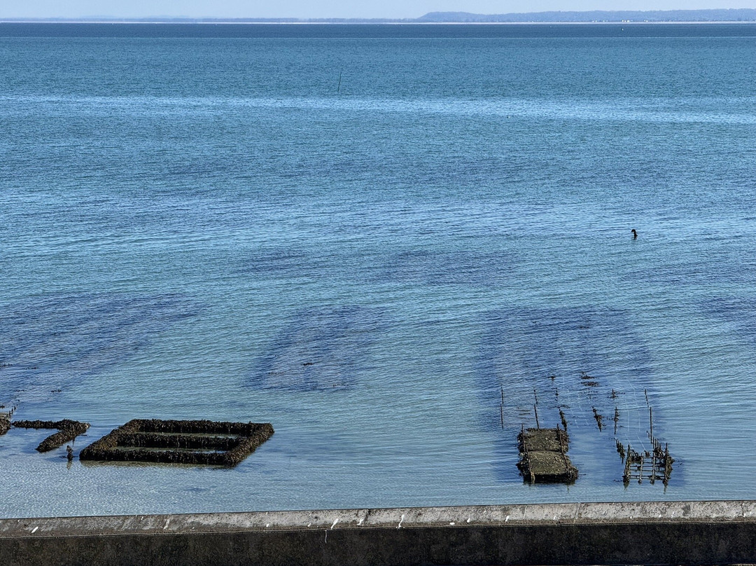 Marché Aux Huîtres-康卡勒必去景点