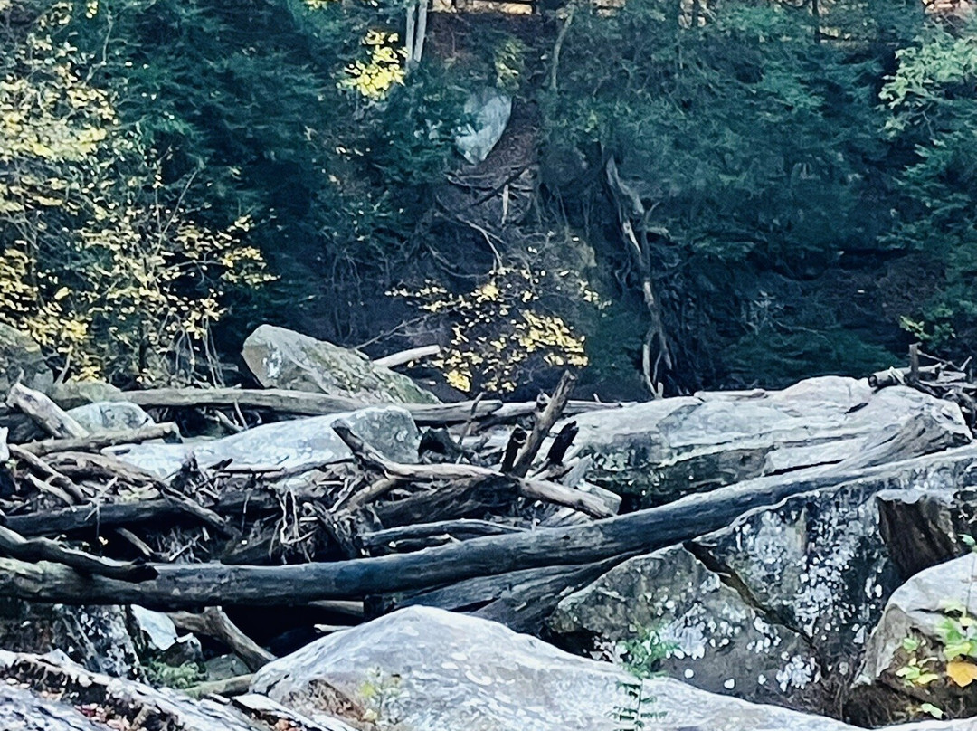 Chippewa Creek Gorge Overlook-Brecksville必去景点