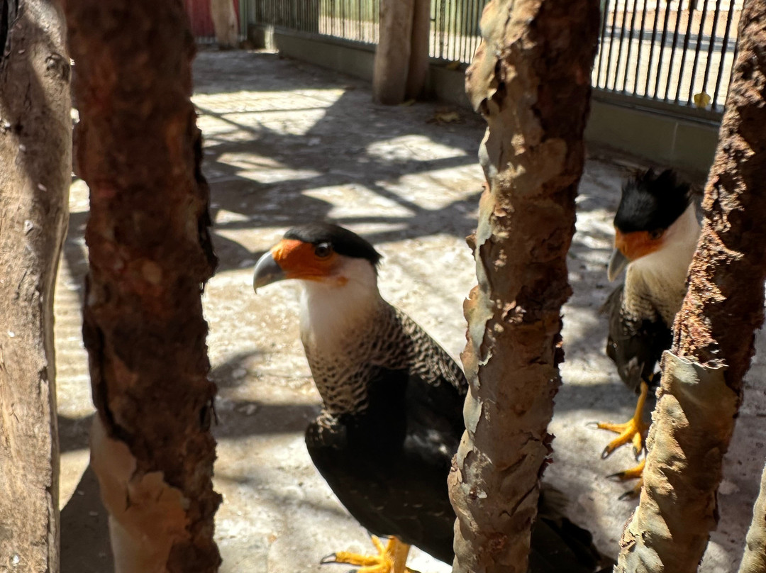 Philip's Animal Garden-Noord必去景点