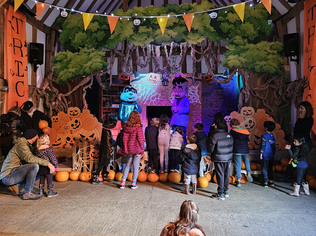 Lee Valley Animal Adventure Park-沃尔萨姆阿比必去景点