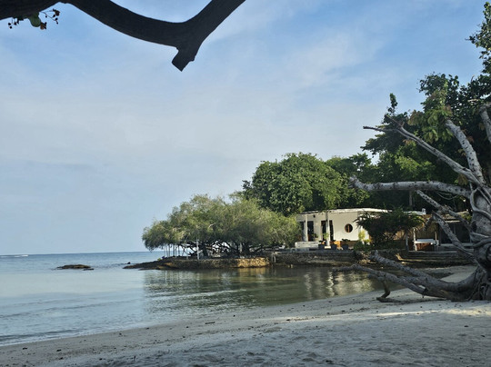 旺德安别墅主图