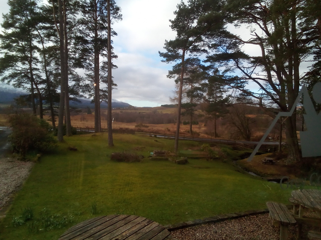 老松树酒店&餐厅主图