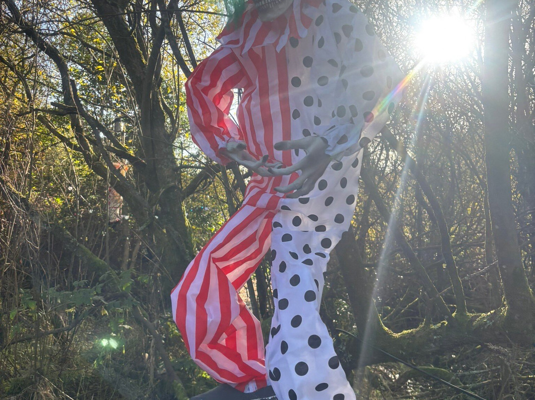 BallyBurren Outdoor Escapes-Ballynahinch必去景点