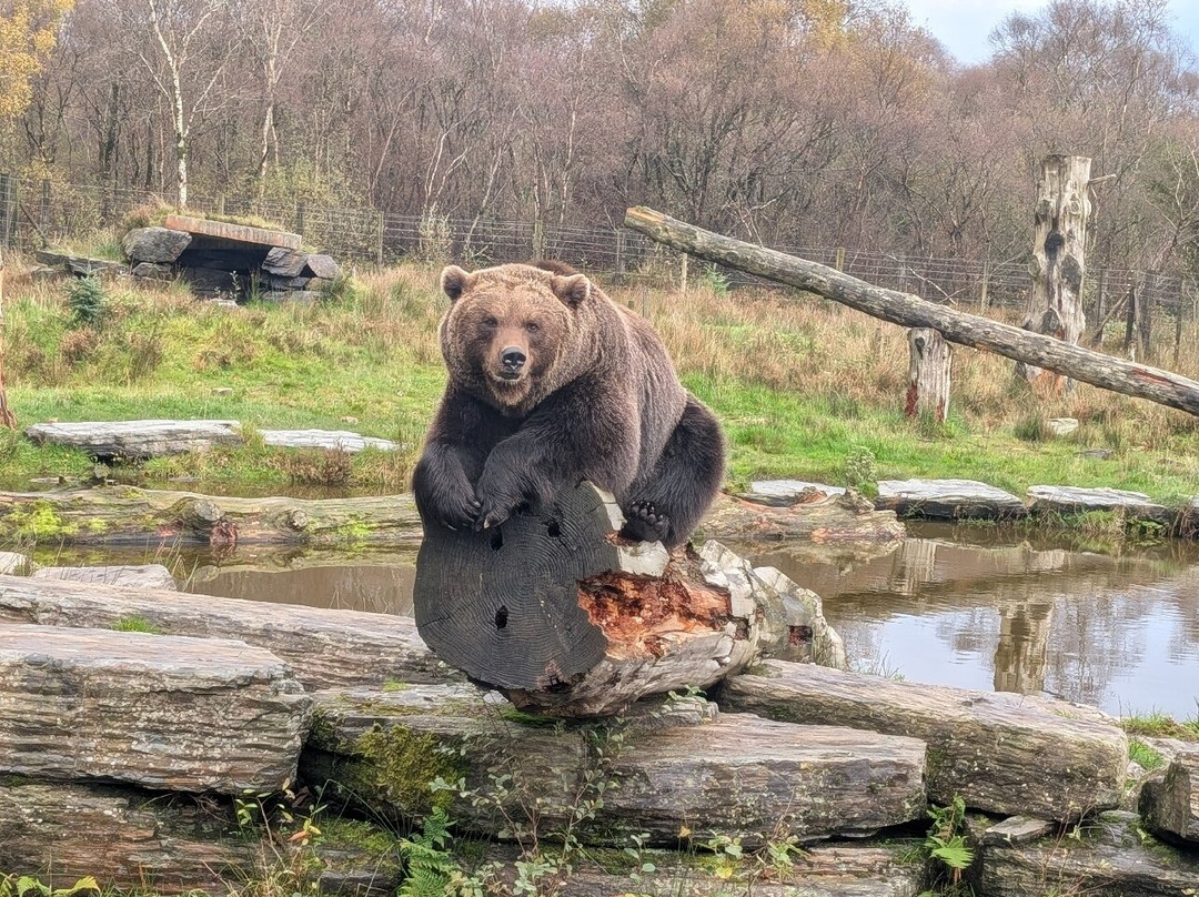 Wild Ireland-Burnfoot必去景点