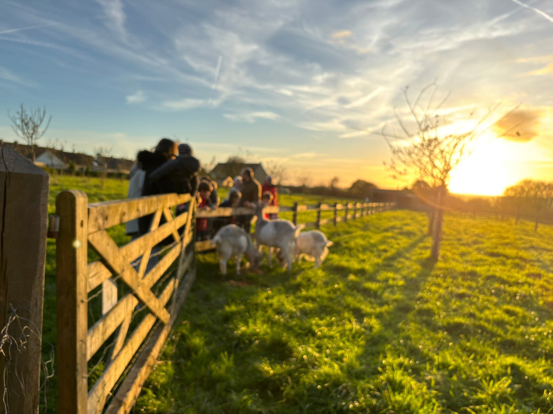 Ferme-Musée du Cotentin-Sainte-Mere-Eglise必去景点