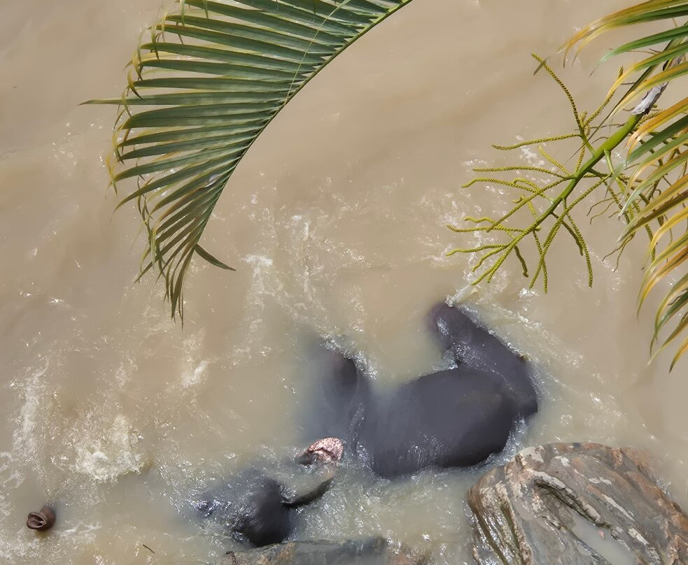 大象公园酒店主图