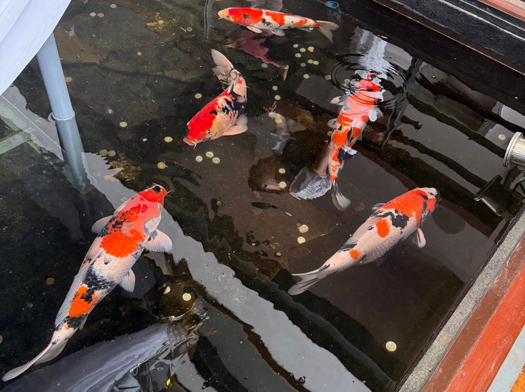 Grand Sierra Pines Baguio主图