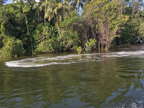 Uncle Brian's Tours-凯恩斯必去景点