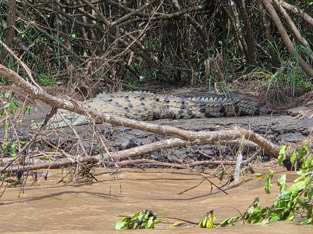 Greenway Nature Day Tours-利蒙港必去景点