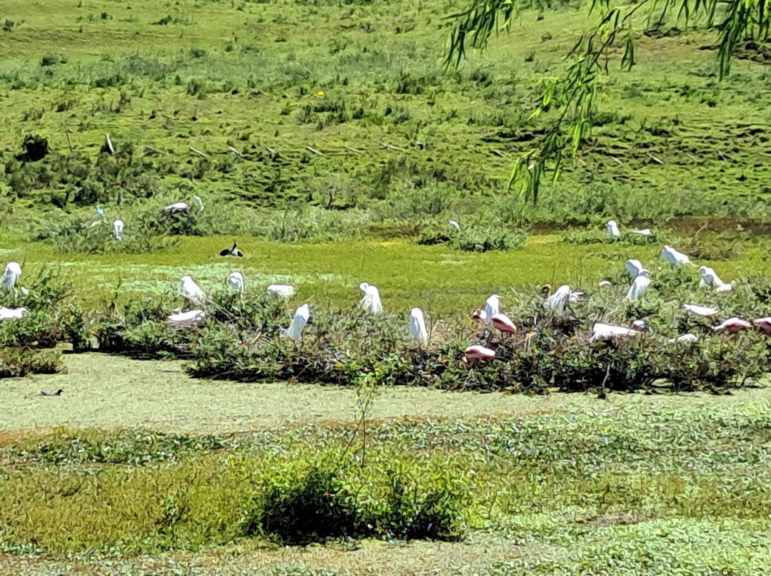 Valle del Lunarejo-Rivera必去景点