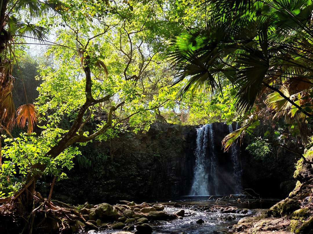 Thomson Adventures-Vacoas-Phoenix必去景点