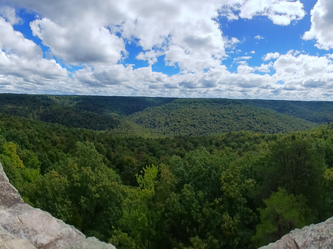 Bee Rock Overlook-蒙特利必去景点