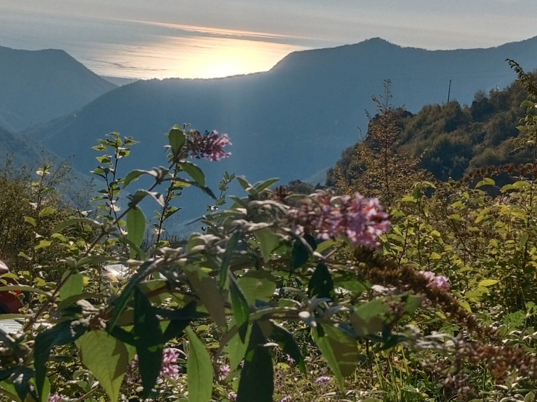 Grotta Antro del Corchia-Levigliani必去景点