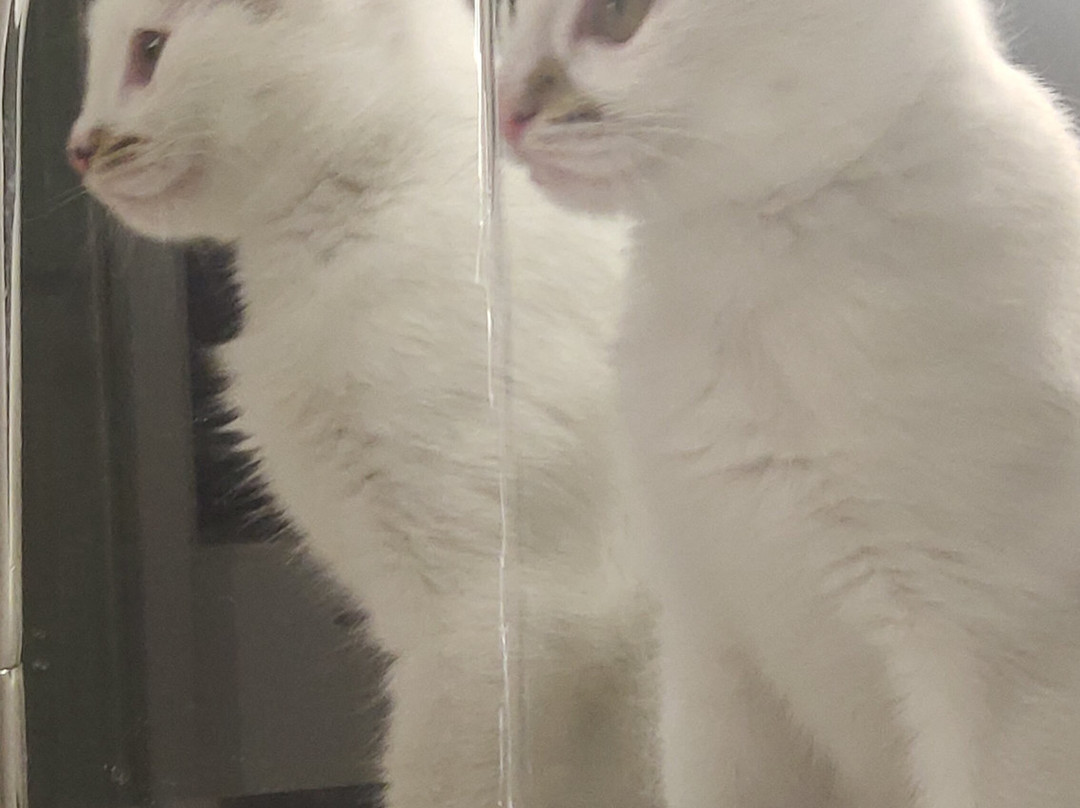 Kizilcahamam Mühür Restaurant