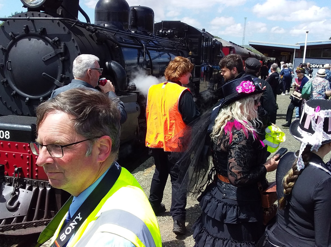 Steam Incorporated-Paekakariki必去景点