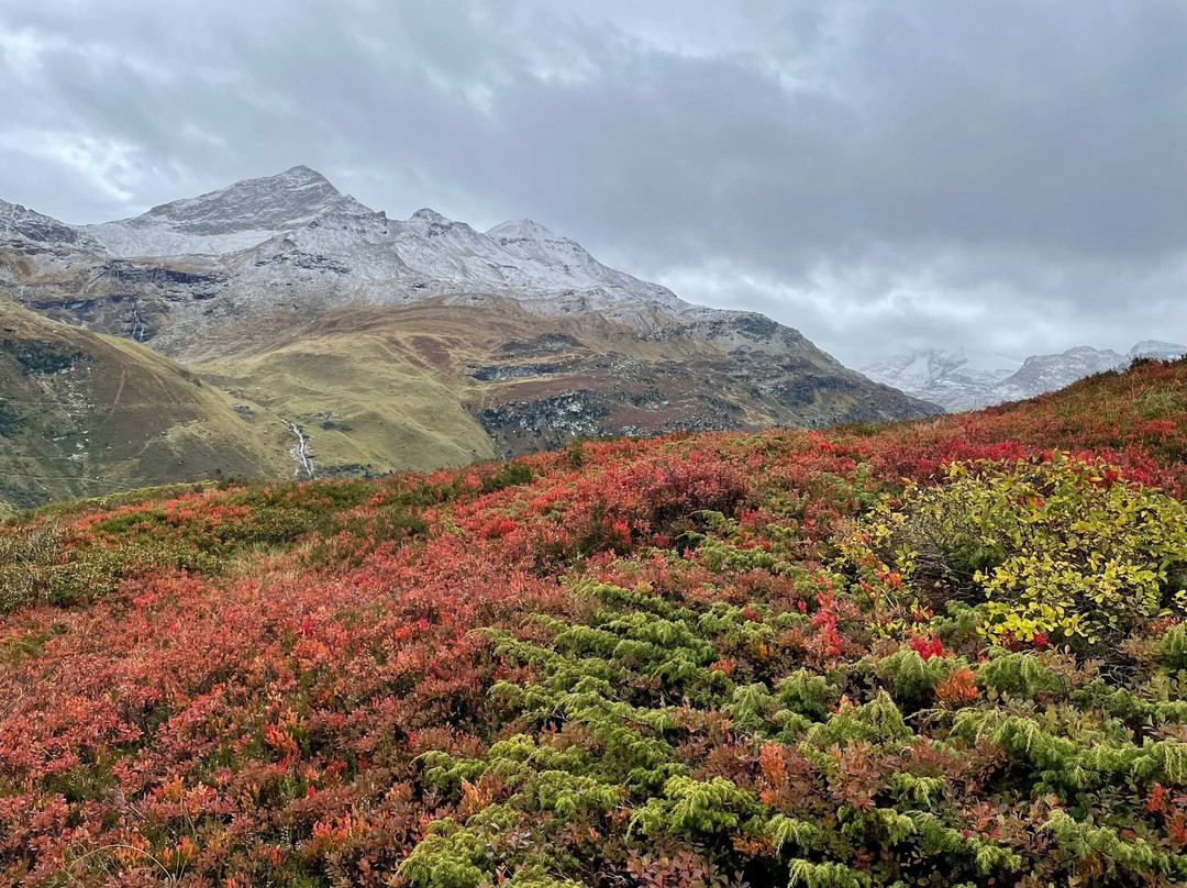 Family hotel Clarezia主图