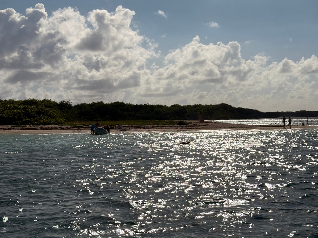 Tarzan Excursion Guadeloupe-Sainte-Anne必去景点
