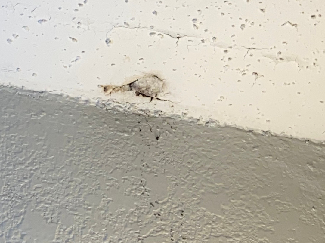 Comfort Inn Alton near I-255主图