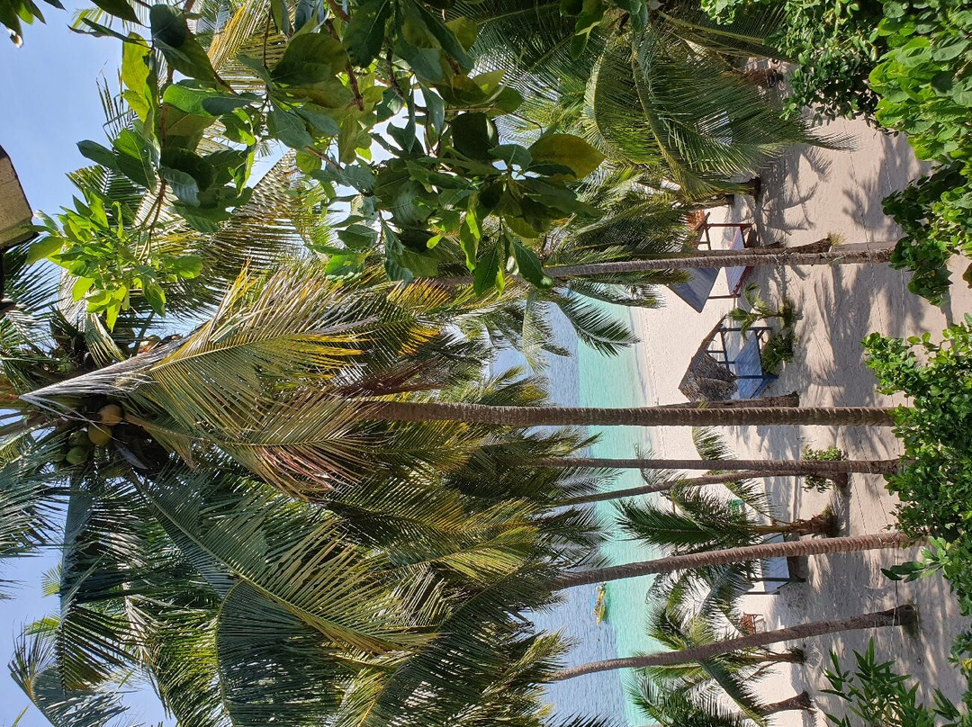 South Sulawesi Tours-孟加锡必去景点