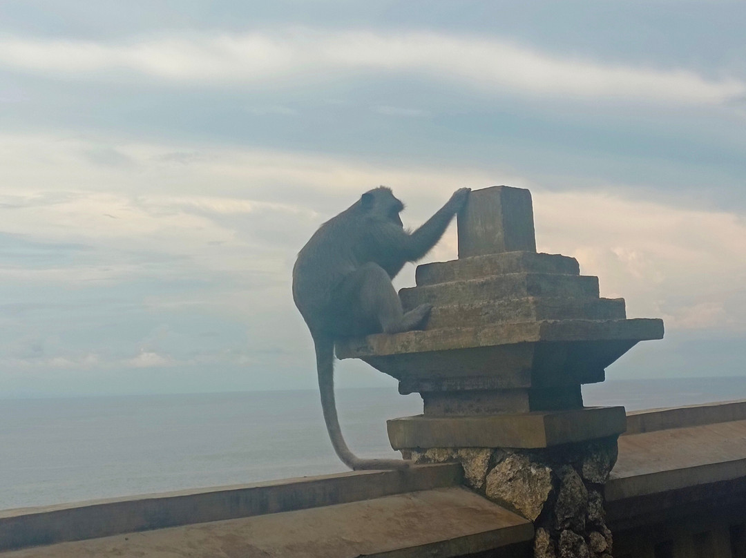 Tour Guide Bali-库塔必去景点