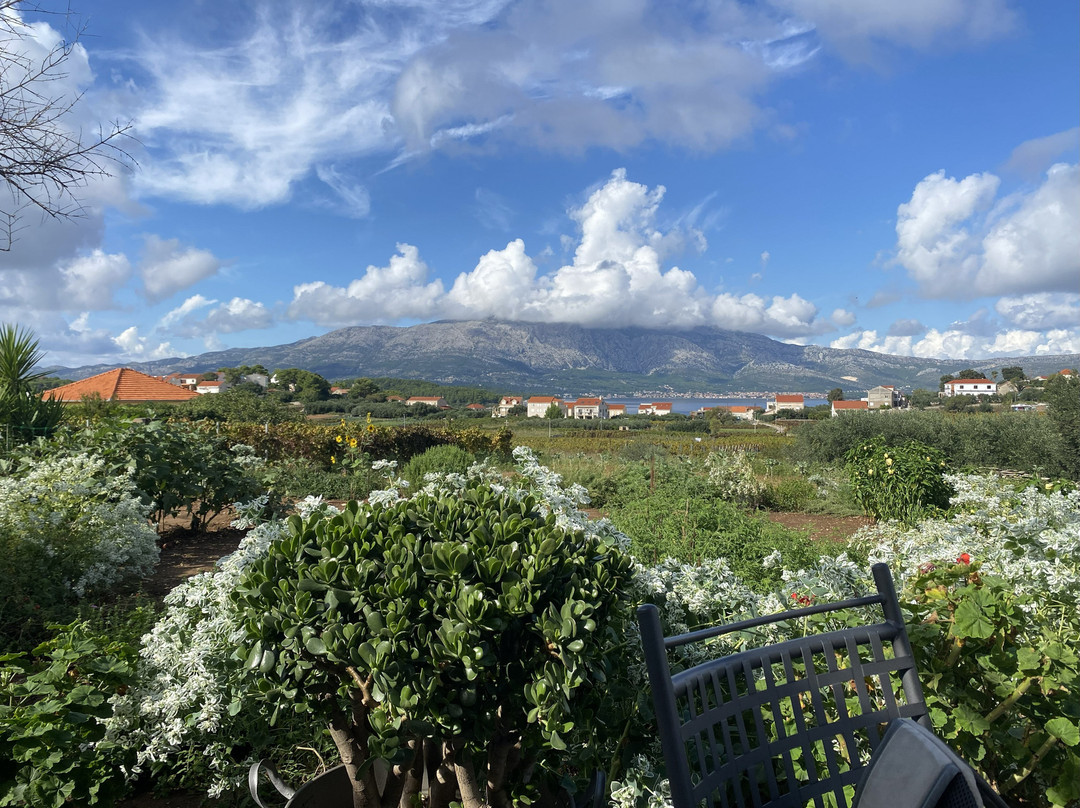 Vitis Winery-伦巴达必去景点