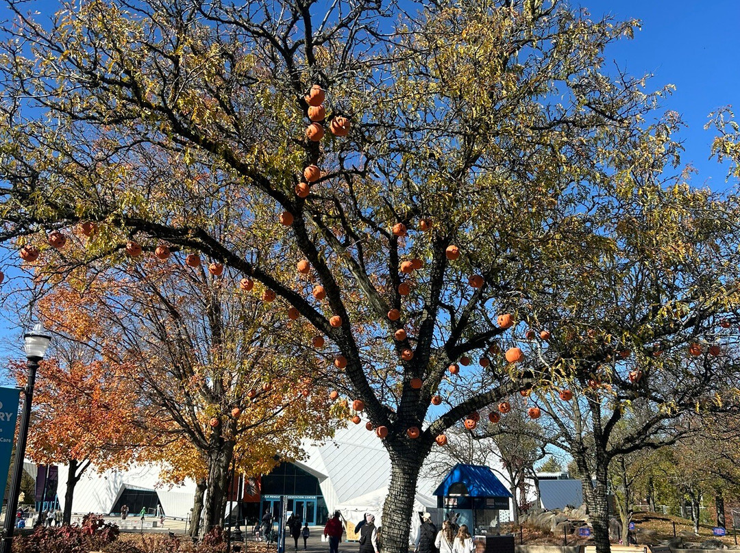 Detroit Zoo-罗亚尔奥克必去景点