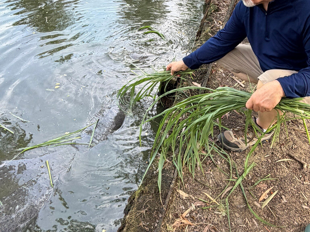 Guyana National Park-乔治城必去景点