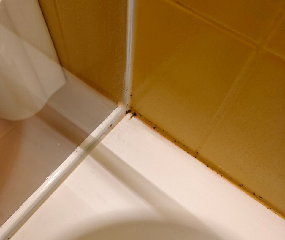 Kloster By B_smart主图