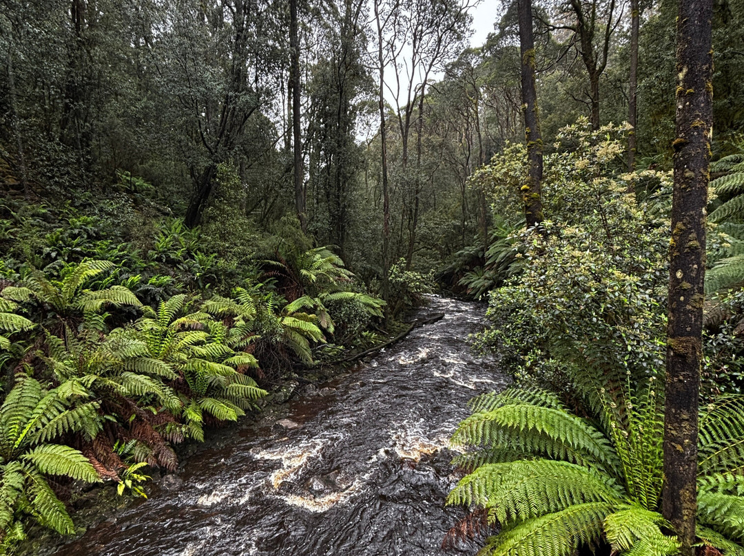 Dip Falls-Mawbanna必去景点