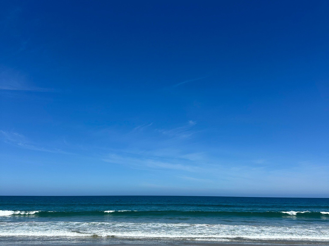 Waipatiki Beach-纳皮尔必去景点