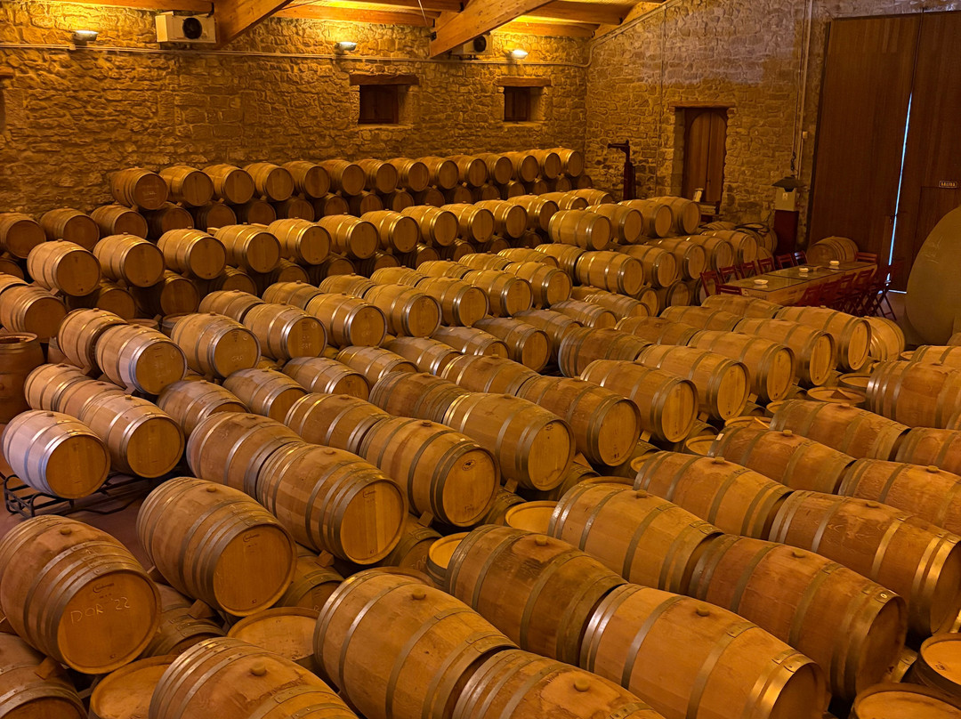 Bodegas y Vinedos Gomez Cruzado-哈罗必去景点