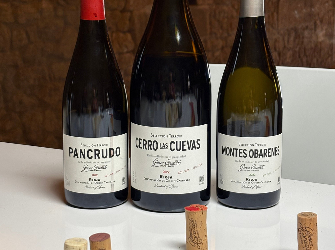 Bodegas y Vinedos Gomez Cruzado-哈罗必去景点