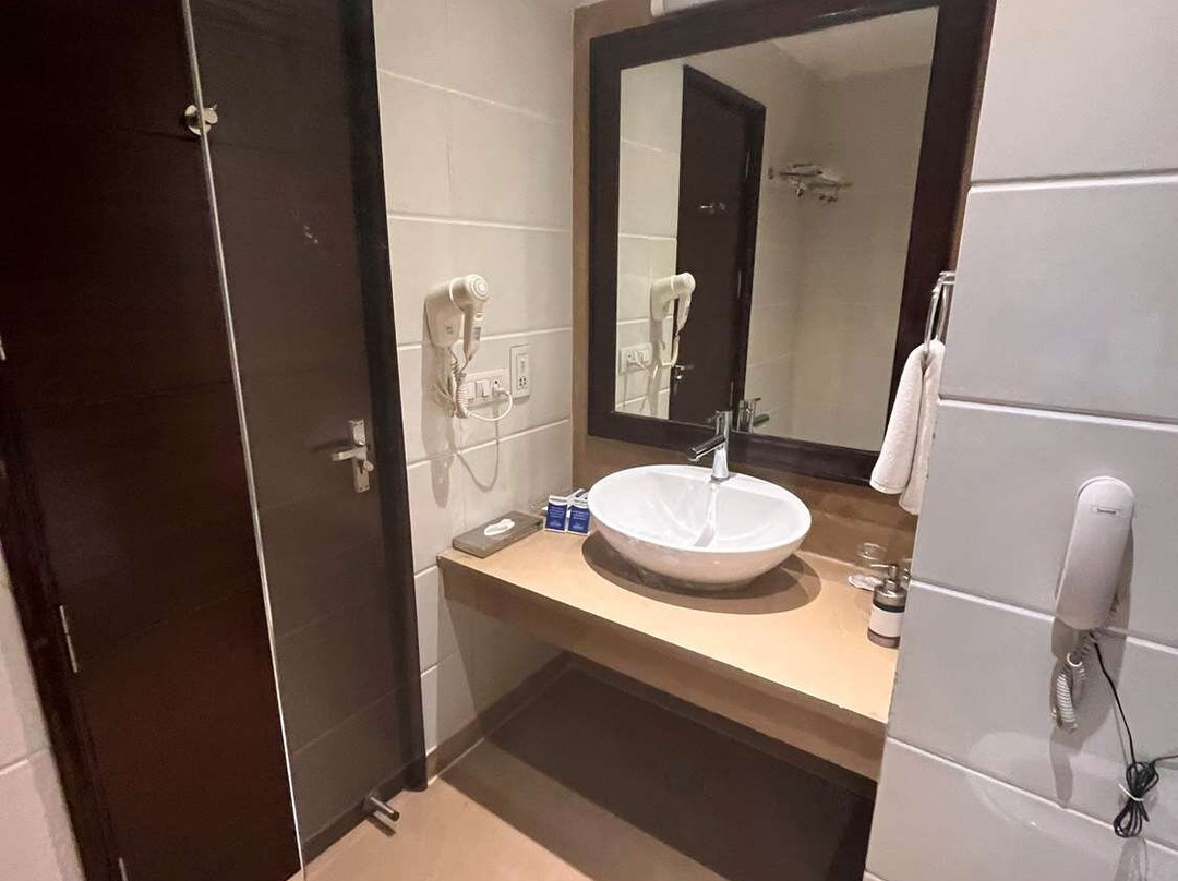 海得拉巴阿迪蒂亚公园酒店