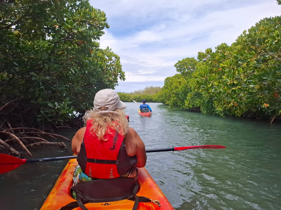 Sea Kayak Adventures-毛里求斯必去景点