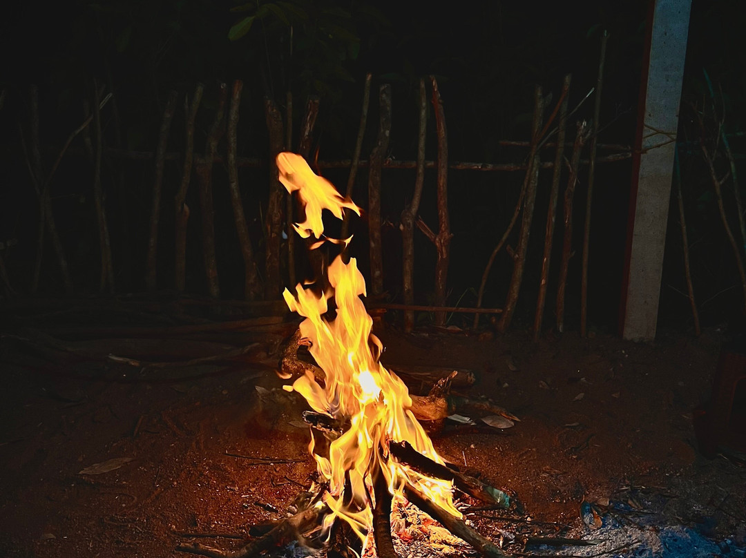 Forested India Expeditions-Sringeri必去景点