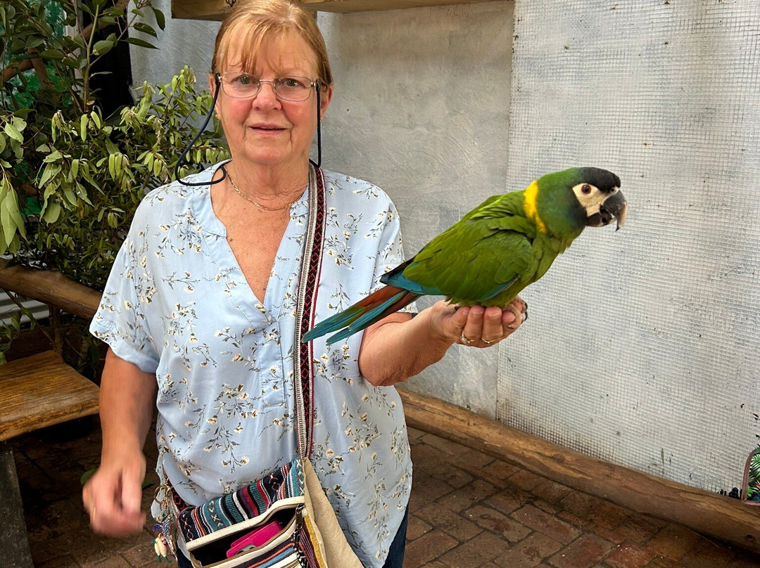 Port Stephens Animal Adventures-Bobs Farm必去景点