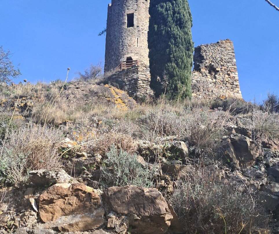 Chateaux de Lastours-Lastours必去景点