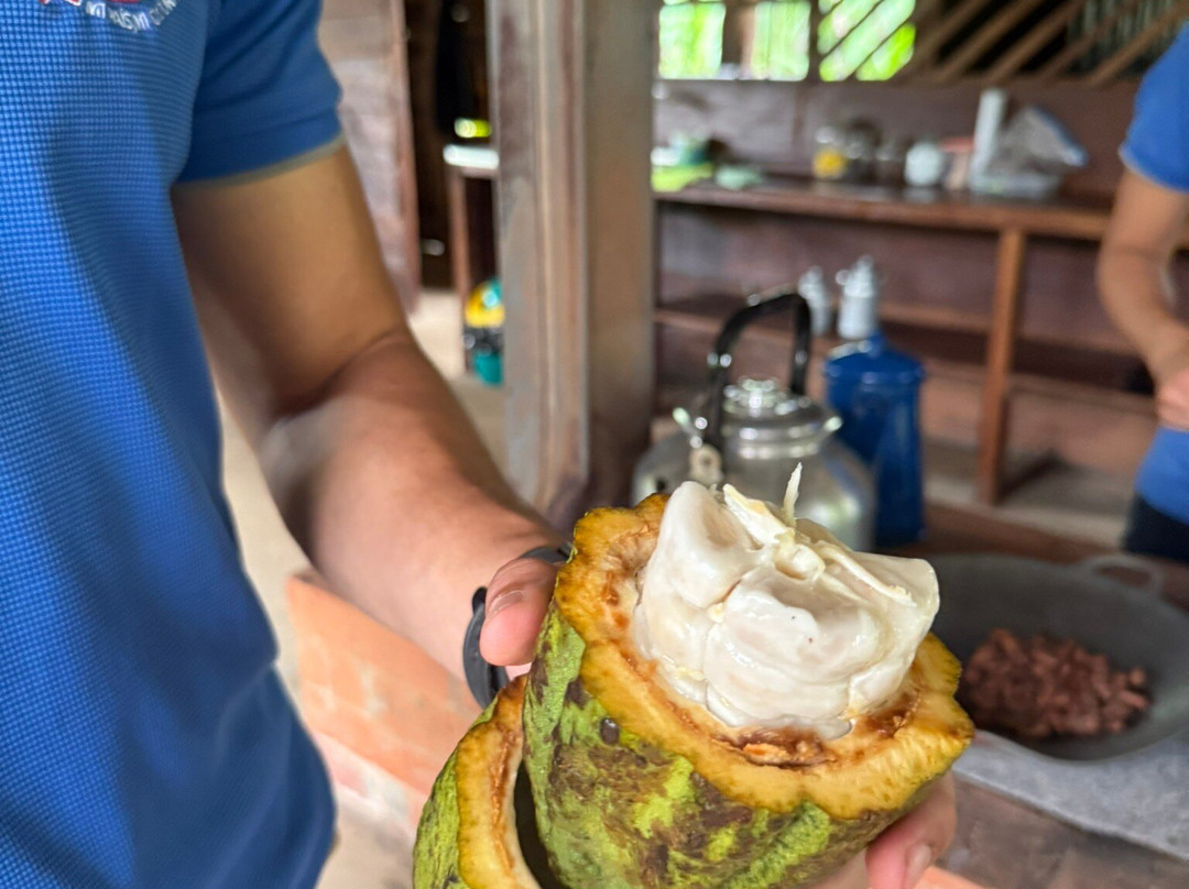 Cafe & Cacao Tour Bijagua-Bijagua de Upala必去景点